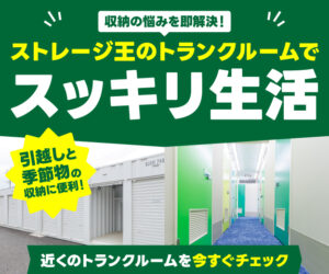 使い勝手の良いストレージ王のトランクルーム